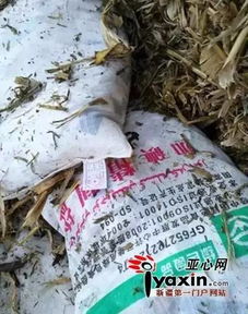 新疆查處首起以飼料鹽為原料制販假食鹽案，飼料原料銷售監(jiān)管引關注