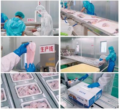 牛蛙飼料巨頭再啟新篇 年銷破10萬噸后，戰略布局原料銷售市場